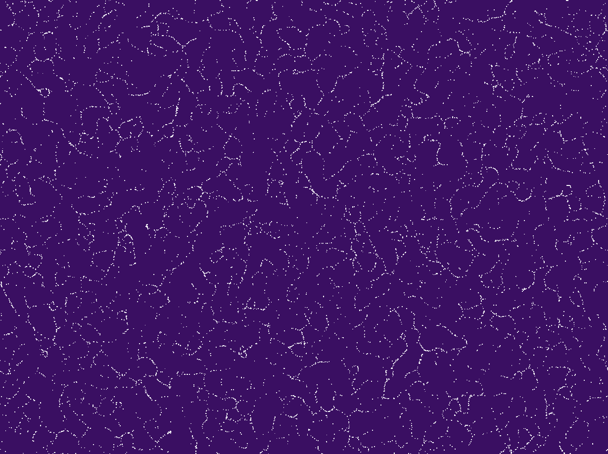 Nervure generative art